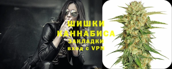 спайс Алексин