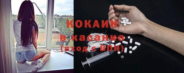 прущие грибы Абинск