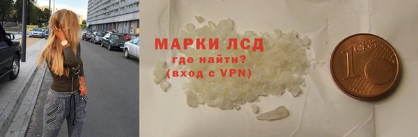 PSILOCYBIN Алзамай