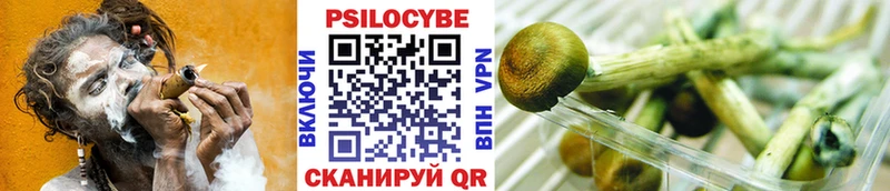 Псилоцибиновые грибы GOLDEN TEACHER  где можно купить   Новоаннинский 
