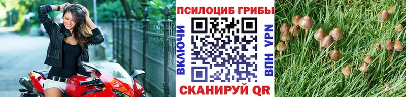 Псилоцибиновые грибы ЛСД Новоаннинский